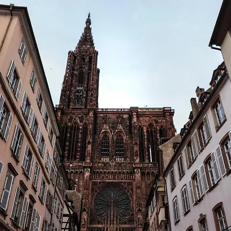 Le Cocon - Classe 3 Etoiles - Avec Garage, A 5mn Du Centre * Strasbourg
