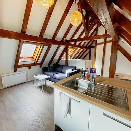 Le Cocon - Classe 3 Etoiles - Avec Garage, A 5mn Du Centre アパート