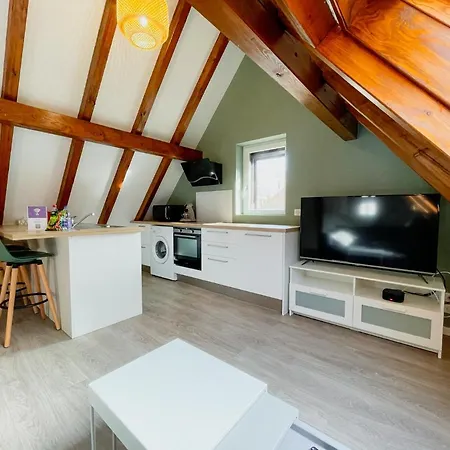Le Cocon - Classe 3 Etoiles - Avec Garage, A 5mn Du Centre アパート ストラスブール